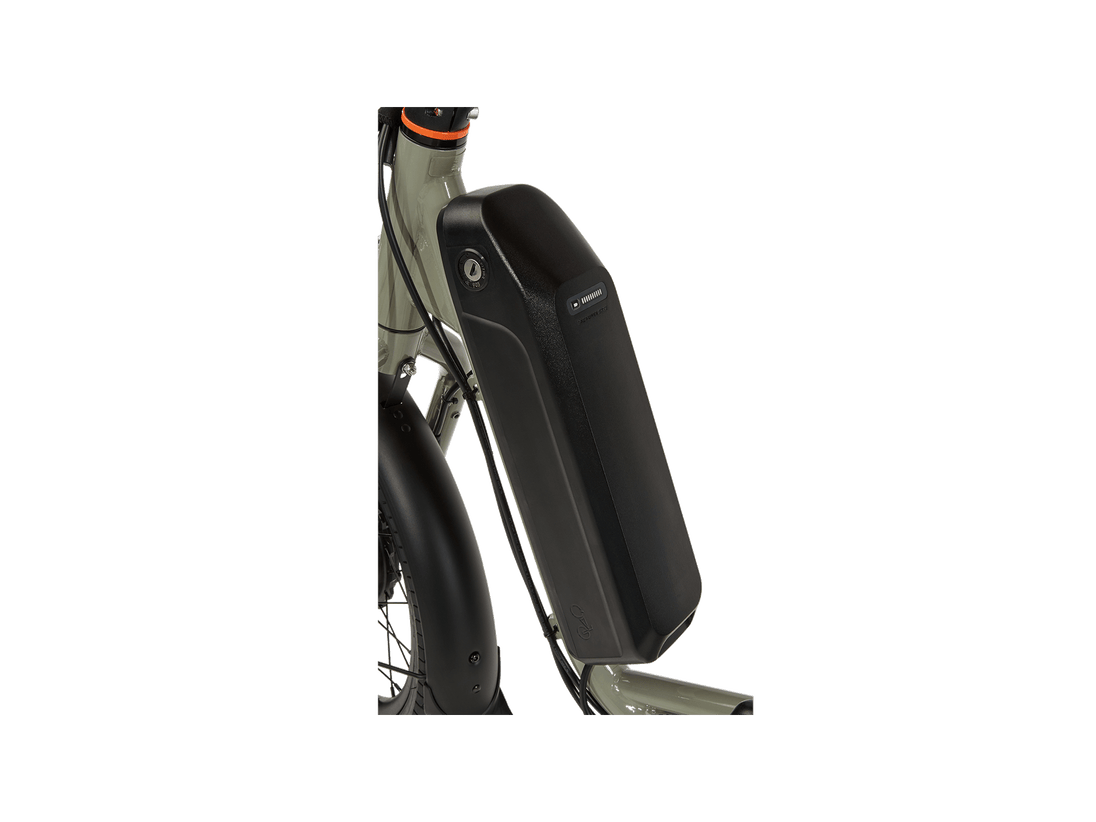 RadTrike™ Electric Tricycle - Riding 5 Electric Bike