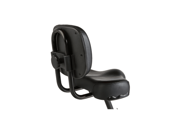 RadTrike™ Electric Tricycle - Riding 5 Electric Bike