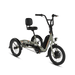 RadTrike™ Electric Tricycle - Riding 5 Electric Bike