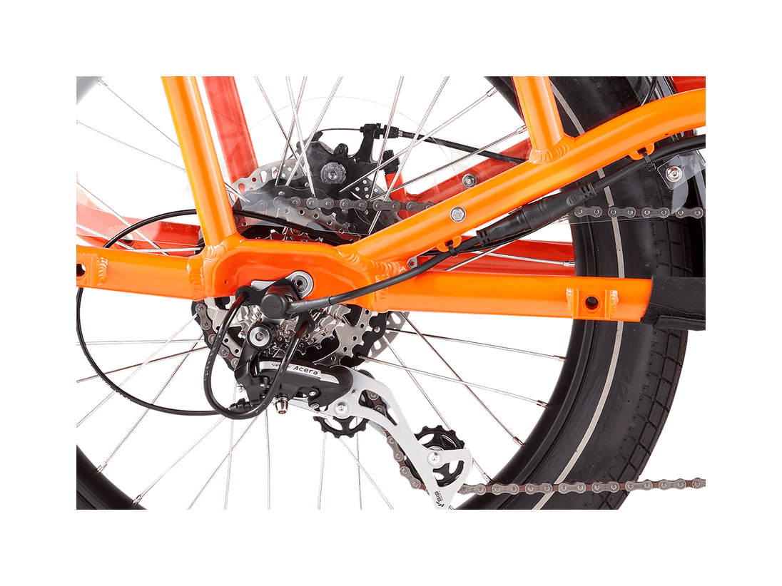 RadWagon™ 4 Electric Cargo Bike - Riding 5 Electric Bike