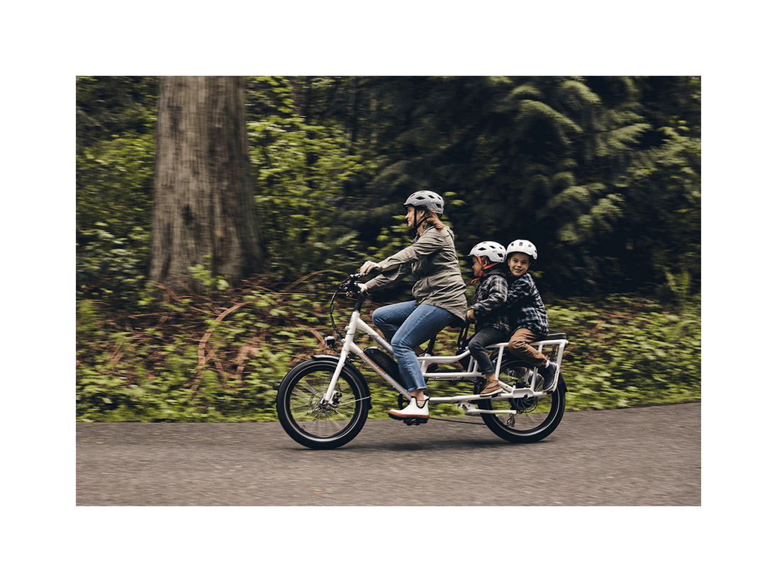 RadWagon™ 4 Electric Cargo Bike - Riding 5 Electric Bike