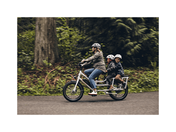 RadWagon™ 4 Electric Cargo Bike - Riding 5 Electric Bike