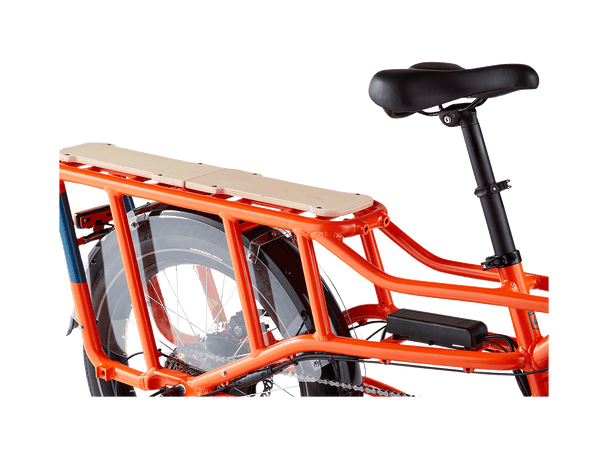 RadWagon™ 4 Electric Cargo Bike - Riding 5 Electric Bike