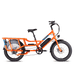 RadWagon™ 4 Electric Cargo Bike - Riding 5 Electric Bike