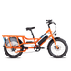 RadWagon™ 4 Electric Cargo Bike - Riding 5 Electric Bike