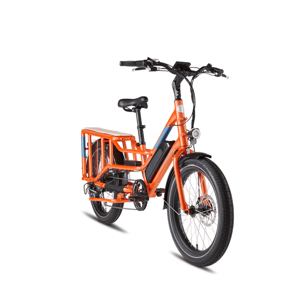 RadWagon™ 4 Electric Cargo Bike - Riding 5 Electric Bike