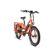 RadWagon™ 4 Electric Cargo Bike - Riding 5 Electric Bike