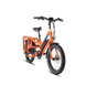 RadWagon™ 4 Electric Cargo Bike - Riding 5 Electric Bike