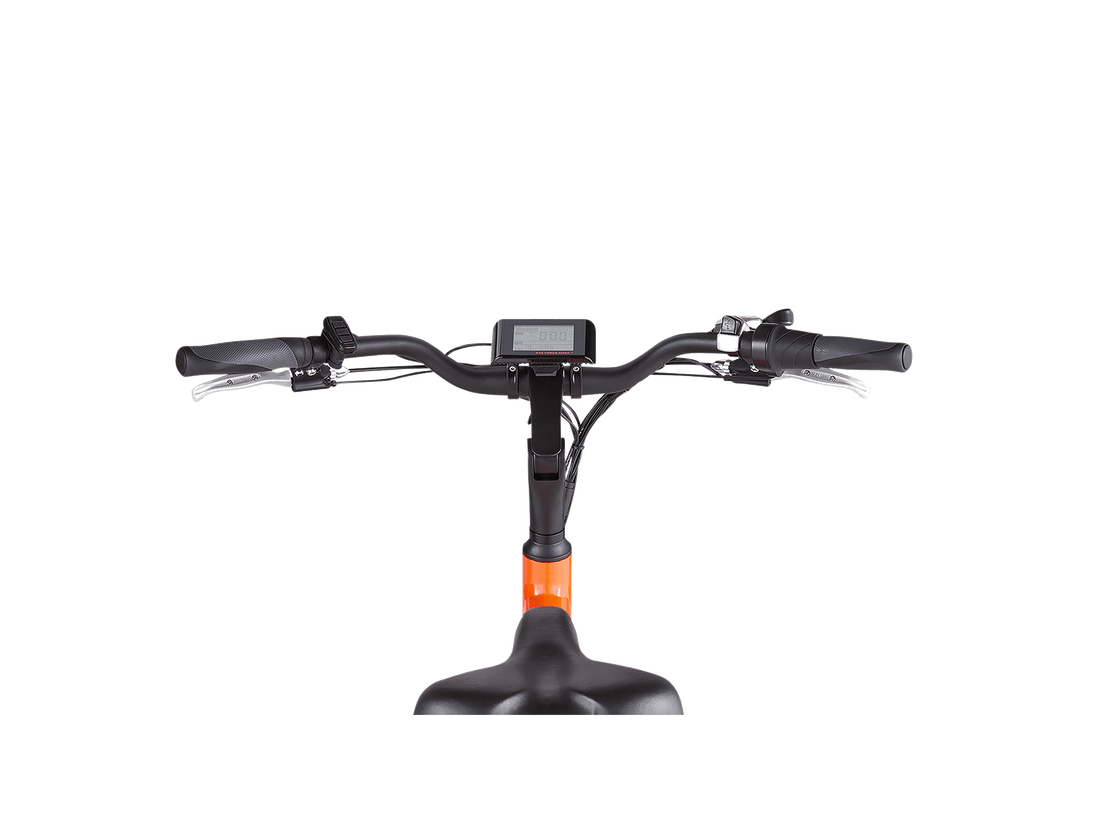 RadWagon™ 4 Electric Cargo Bike - Riding 5 Electric Bike