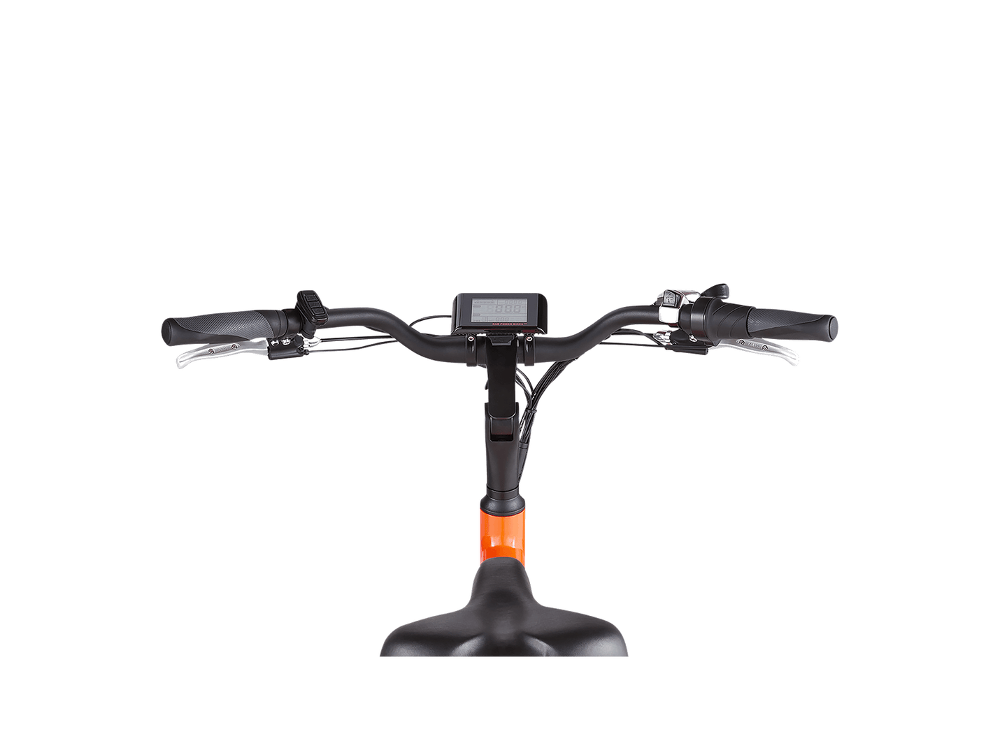 RadWagon™ 4 Electric Cargo Bike - Riding 5 Electric Bike