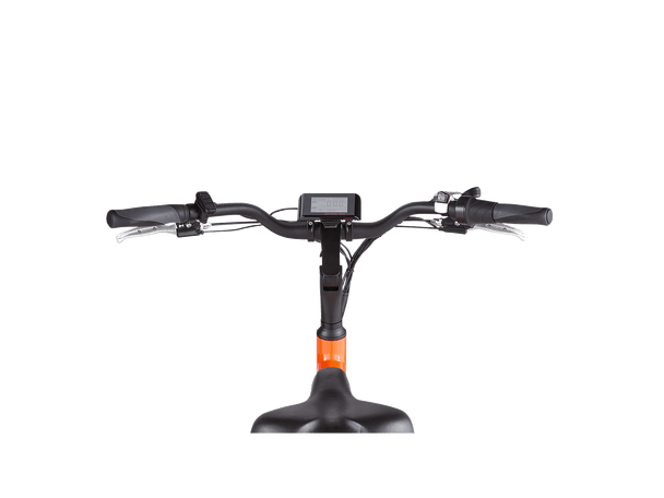 RadWagon™ 4 Electric Cargo Bike - Riding 5 Electric Bike