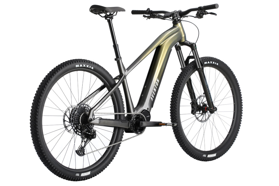 Ramblas eMTB Borealis back SKUs: 1E055-0013901, 1E055-0014101, 1E055-0014501, 1E055-0014901
