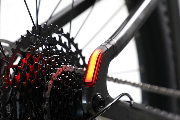 Ramblas eMTB taillight - common