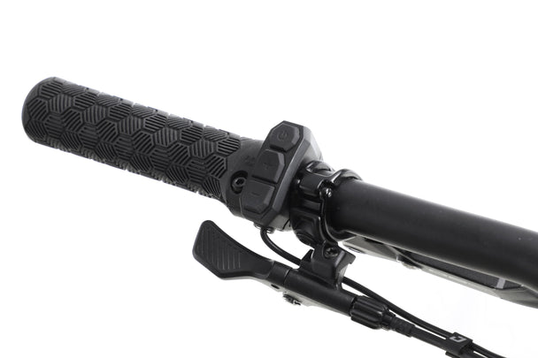 Ramblas eMTB controller - common