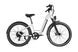 Rambler / Electric City Commuter Bike - Riding 5 Electric Bike