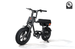 RICTOR Flexx Electric Bike | 750W Off - Road E - Bike - Riding 5 Electric Bike