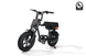 RICTOR Flexx Electric Bike | 750W Off - Road E - Bike - Riding 5 Electric Bike