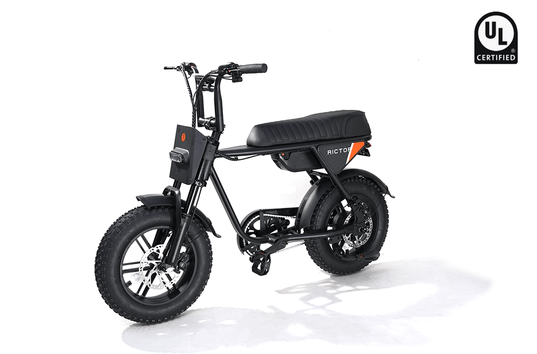 RICTOR Flexx Electric Bike | 750W Off - Road E - Bike - Riding 5 Electric Bike