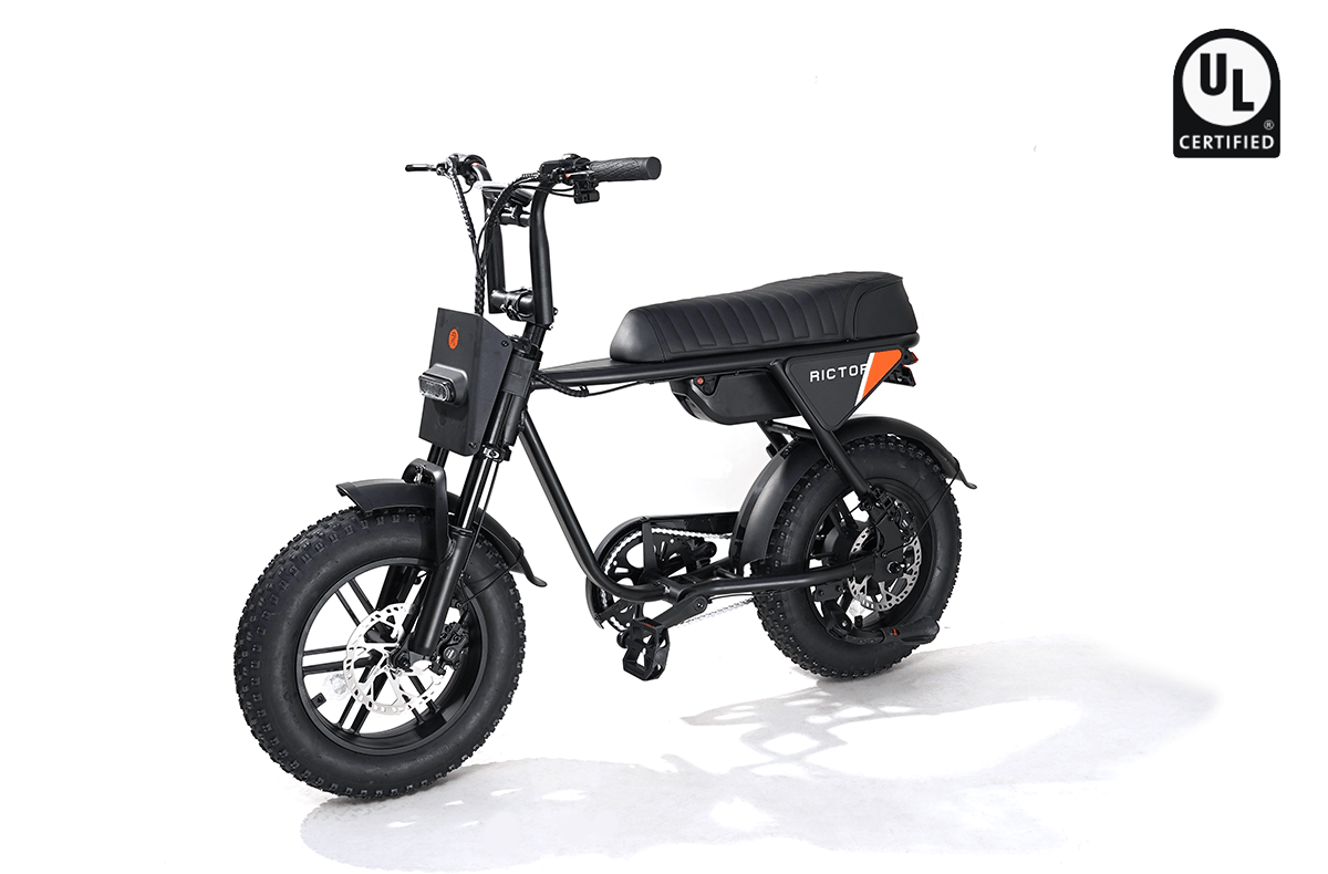 RICTOR Flexx Electric Bike | 750W Off - Road E - Bike - Riding 5 Electric Bike