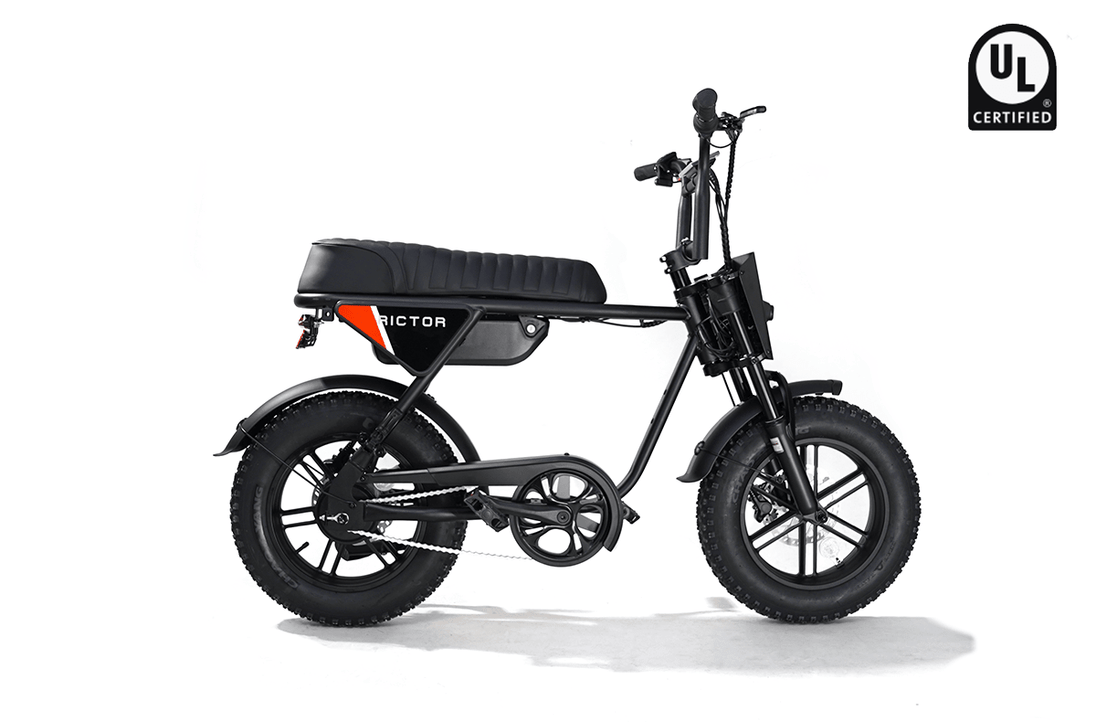 RICTOR Flexx Electric Bike | 750W Off - Road E - Bike - Riding 5 Electric Bike