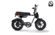 RICTOR Flexx Electric Bike | 750W Off - Road E - Bike - Riding 5 Electric Bike