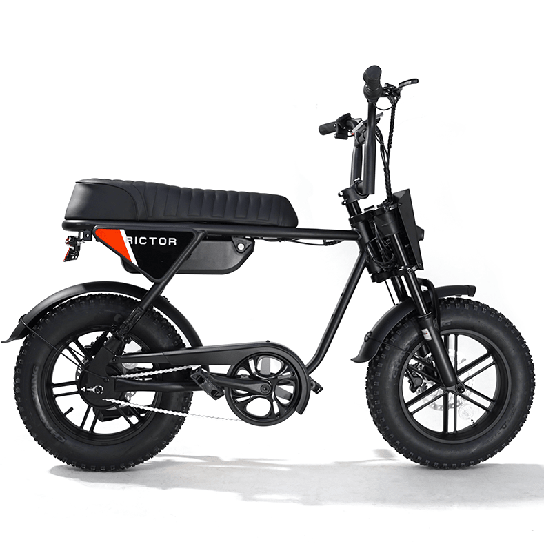 RICTOR Flexx Electric Bike | 750W Off - Road E - Bike - Riding 5 Electric Bike