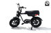 RICTOR Flexx Electric Bike | 750W Off - Road E - Bike - Riding 5 Electric Bike