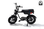 RICTOR Flexx Electric Bike | 750W Off - Road E - Bike - Riding 5 Electric Bike