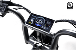 RICTOR Flexx Electric Bike | 750W Off - Road E - Bike - Riding 5 Electric Bike