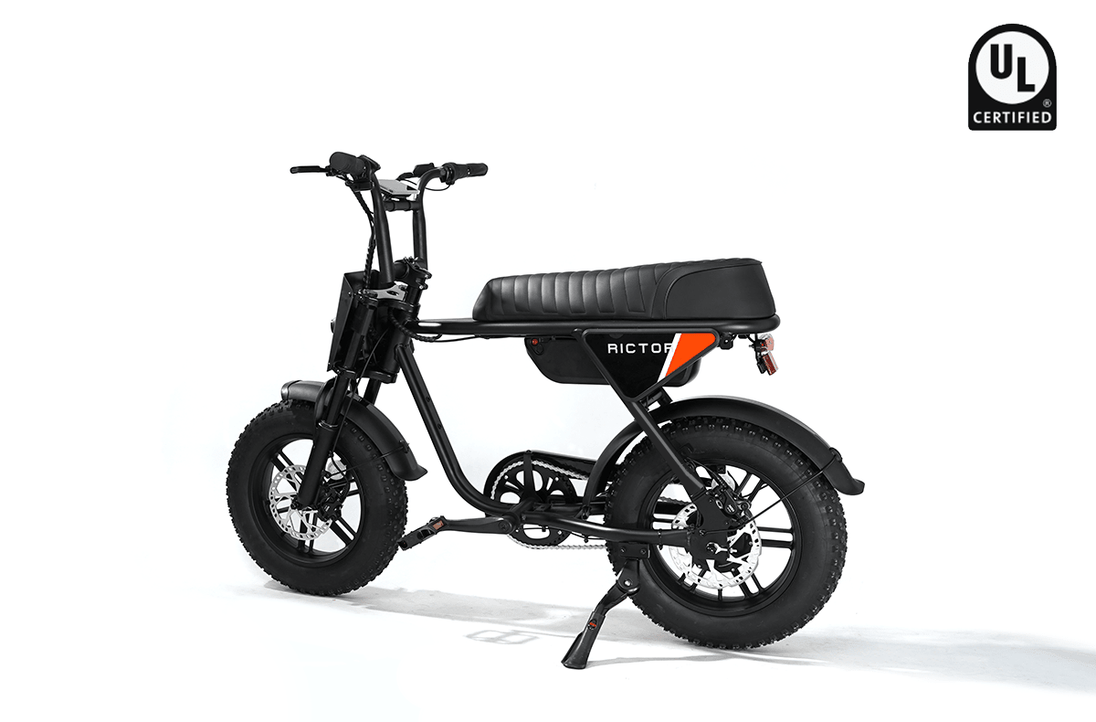 RICTOR Flexx Electric Bike | 750W Off - Road E - Bike - Riding 5 Electric Bike