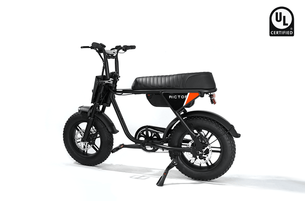 RICTOR Flexx Electric Bike | 750W Off - Road E - Bike - Riding 5 Electric Bike