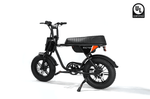 RICTOR Flexx Electric Bike | 750W Off - Road E - Bike - Riding 5 Electric Bike