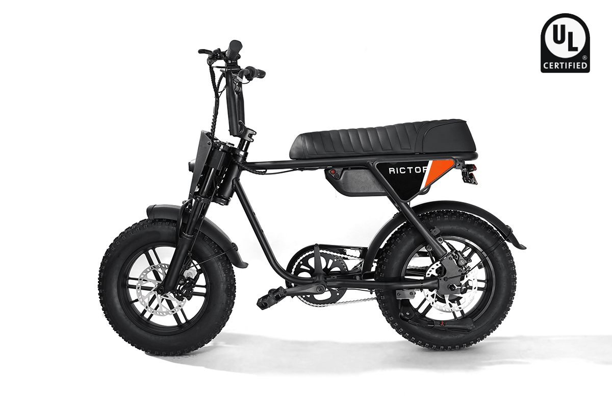 RICTOR Flexx Electric Bike | 750W Off - Road E - Bike - Riding 5 Electric Bike