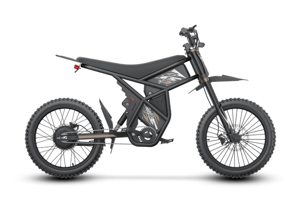 Riding Times GT73 Pro Electric Motorbike - Riding 5 Electric Bike
